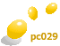 pc029